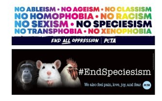 free-set-of-PETA-Animal-Rights-Bookmarks